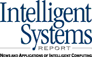 Intelligent Systems Report