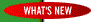What's New at Lionheart Publishing Online