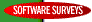 Lionheart Publishing Software Surveys