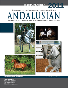 2010 Media Planner